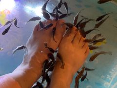 -汤连得温泉馆(宝山店)