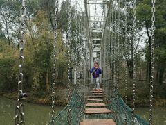 -溱湖国家湿地公园