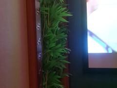 -鹤祥宫·影院足道·SPA连锁(苹果园店)