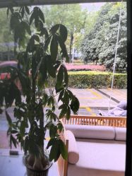 -漂亮妈妈通乳·塑形·产后恢复(奥体店)