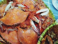 -四海蒸鲜蒸汽海鲜自助(北戴河店)
