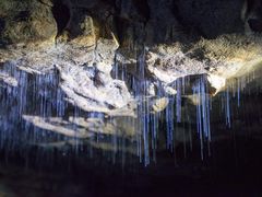 -怀托摩萤火虫洞