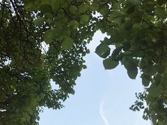 -锦绣公园