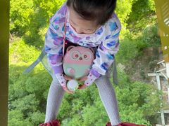 -少华山国家森林公园
