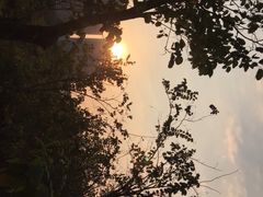 -聚龙山公园
