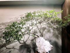 -会仙楼(金融街店)