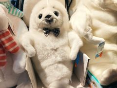 -太平洋海底世界