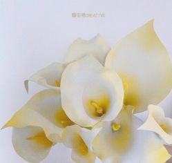 -金禧婚礼定制