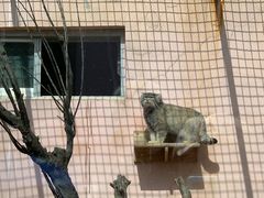 -青藏高原野生动物园