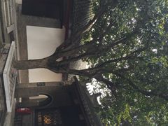 内乡县衙-内乡县衙博物馆