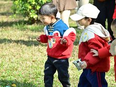 -二沙岛艺术公园
