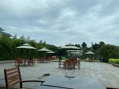 景观位-厦门悦华酒店·绿庭主题自助餐厅
