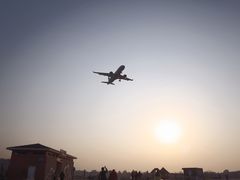 -空港花田景区