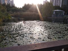 -苏州河梦清园环保主题公园