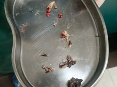 -康旭宠物医院(郑州总院)