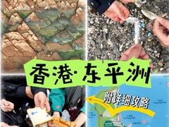 -东平洲海岸公园