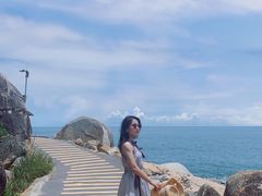 -广东惠东海龟国家级自然保护区