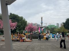 -南湖梦幻岛