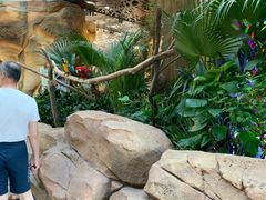 -杭州开元森泊度假乐园