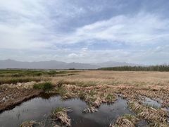 -野鸭湖国家湿地公园