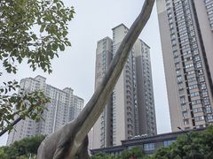 -陕西自然博物馆