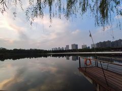 -滨湖塘西河公园