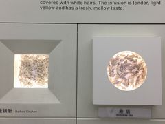 -中国茶叶博物馆(双峰馆区)