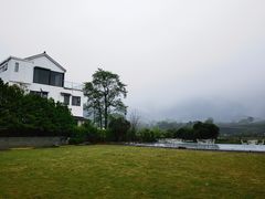 -龙坞茶村