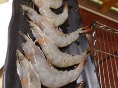 虾-花枝日本料理(金沟河店)