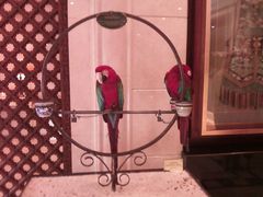 -月亮河温泉度假酒店