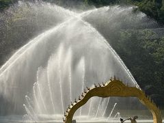 -西双版纳原始森林公园