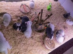 -大玩家(拱墅万达店)