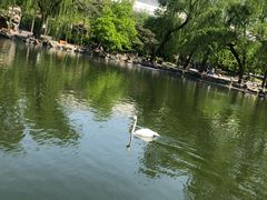 -北京动物园