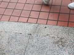 -金玲珑串道(石鼓路店)