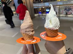 -野人先生现做冰淇淋(北京环宇荟店)
