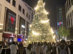 -杭州城中香格里拉大酒店