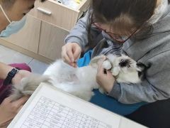 -安安宠物医院(佳林路分院)