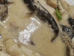 -沪依小酒馆心意菜