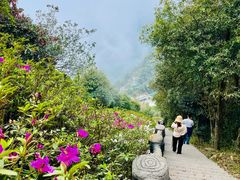 -梧桐山风景名胜区