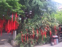 -西安青龙寺遗址景区
