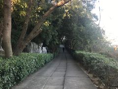 -石钟山