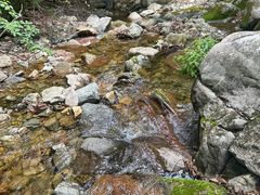 -本溪汤沟绿石谷森林公园