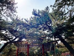 -潭柘寺景区