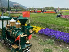 -苏州太湖西山岛开心农场