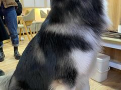 -白兔子密室(长寿路店)