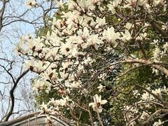 -上海方塔园