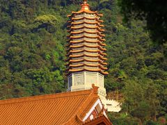 -深圳仙湖植物园