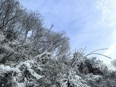 -少华山国家森林公园