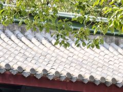 -峙山公园