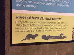 -西雅图水族馆